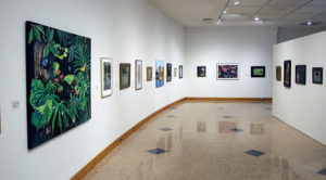 Installation view of "Shadows: Sedalia Visual Art Association Members' Exhibition."