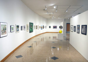 Installation view of "Shadows: Sedalia Visual Art Association Members' Exhibition."