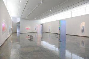 Installation view of "Gisela Colon: Pods" at Daum Museum.