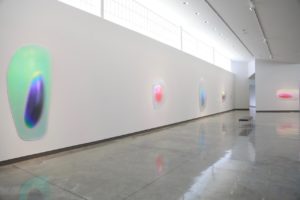 Installation view of "Gisela Colon: Pods" at the Daum Museum.