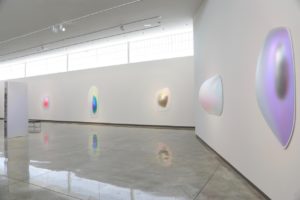 Installation view of "Gisela Colon: Pods" at the Daum Museum.