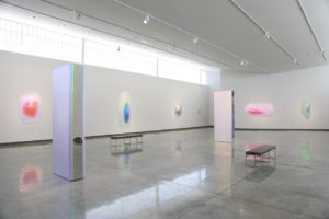 Installation view of "Gisela Colon: Pods" at the Daum Museum.