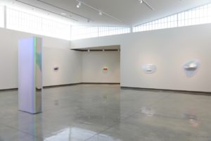 Installation view of "Gisela Colon: Pods" at the Daum Museum.