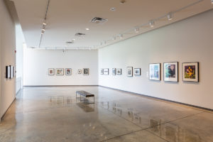 Installation view of "Constructions & Interventions: Photographs from the Collection."