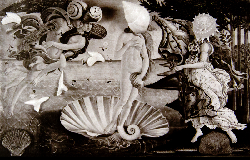 Linda Connor, "Birth of Venus," 1971; gelatin silver print. Collection Daum Museum of Contemporary Art.