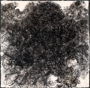 Kiki Smith, Untitled (Hair), 1990; lithograph. Collection Daum Museum of Contemporary Art.