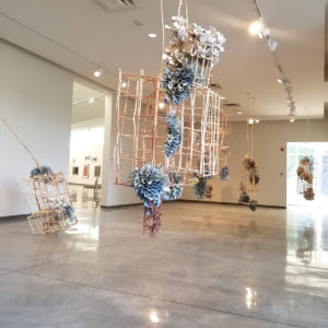 Installation view of "Rebecca Hutchinson: Tranquil Bloom Sedalia."