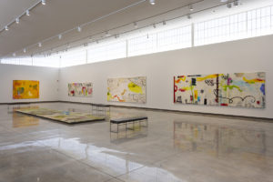 Installation view of "Jane Booth: Instinct."