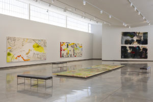 Installation view of "Jane Booth: Instinct."