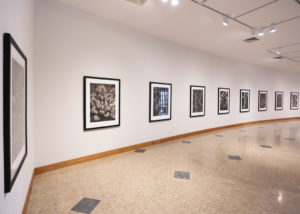 Installation view of "Michael Eastman: Succulent Palladiums."