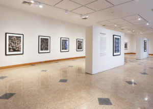 Installation view of "Michael Eastman: Succulent Palladiums."