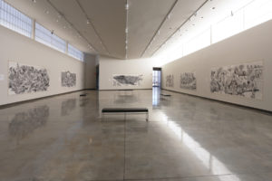 Installation view of "Dialogues with Mother Earth: Drawing to Save the Planet" by Erica Daborn.