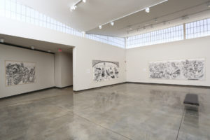 Installation view of "Dialogues with Mother Earth: Drawing to Save the Planet" by Erica Daborn.