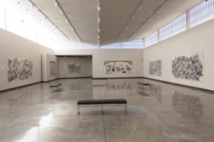 Installation view of "Dialogues with Mother Earth: Drawing to Save the Planet" by Erica Daborn.