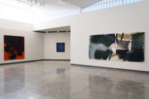 Installation view of "The Daum at 20: Selections from the Collection."