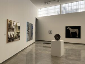 Installation view of "Animal/Vegetable/Mineral."