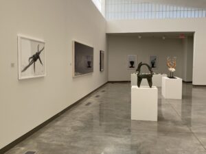 Installation view of "Animal/Vegetable/Mineral."