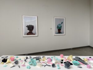 Installation view of "Animal/Vegetable/Mineral."