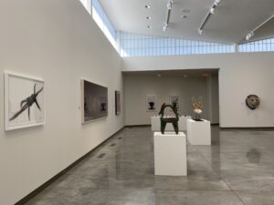 Installation view of "Animal/Vegetable/Mineral."