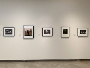 Installation view of "All We Are."