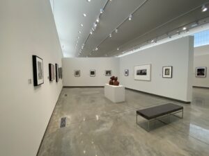 Installation view of "All We Are."