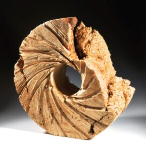 Robyn Horn, "1355 Staccato," 2021; box elder burl. Museum purchase.