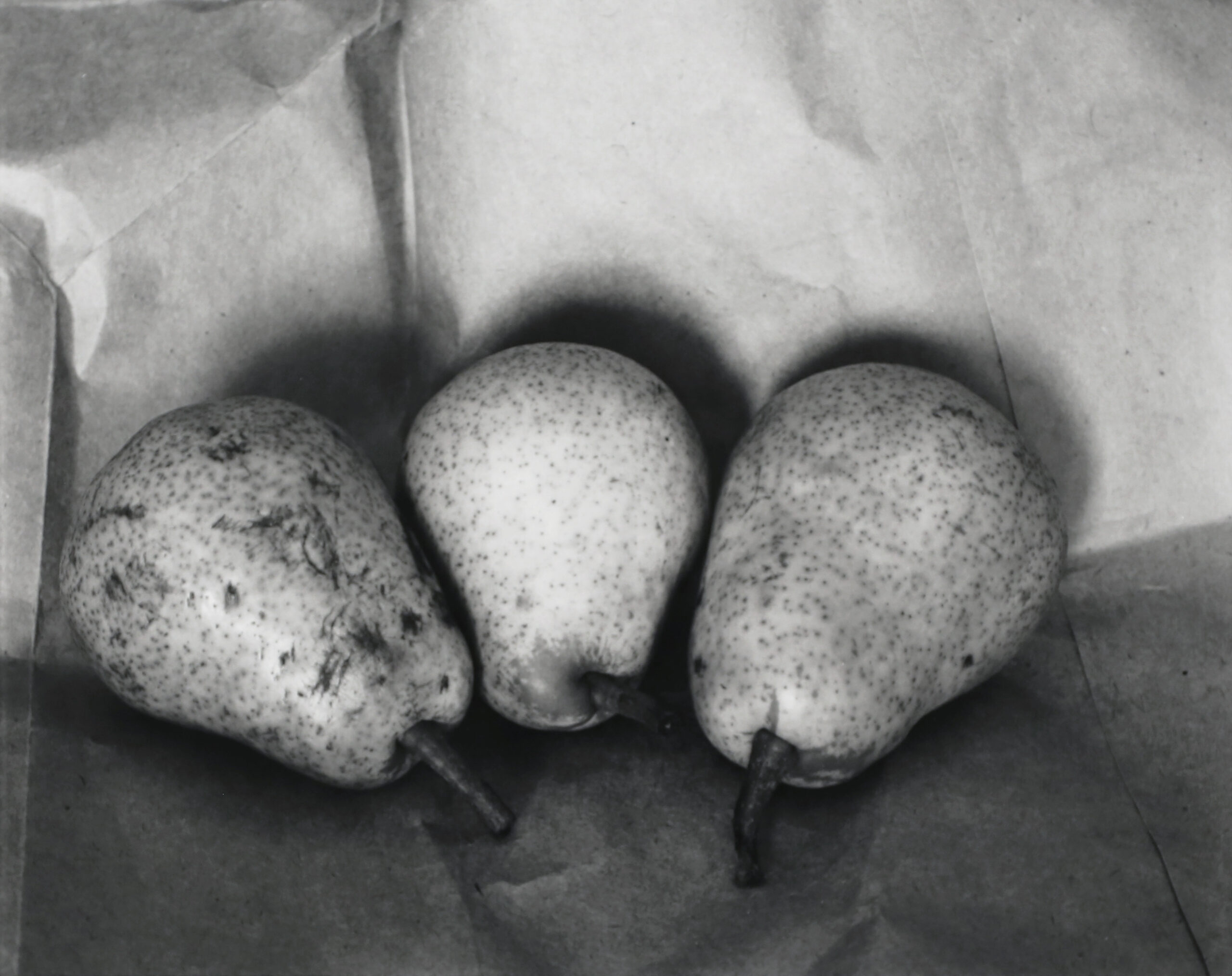 Michael J. Lardizabal, Untitled (3 Pears), gelatin silver print. Gift of Ricci Racela & Michael Bonahan.