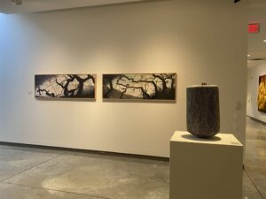 Installation view of "Naturally."