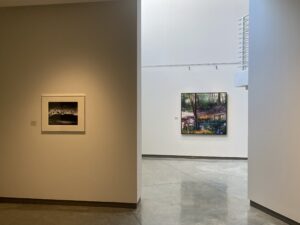 Installation view of "Naturally."