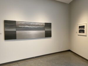 Installation view of "Naturally."