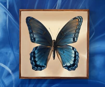 "The Square Collection: Limenitis arthemis", 2024; acrylic on canvas