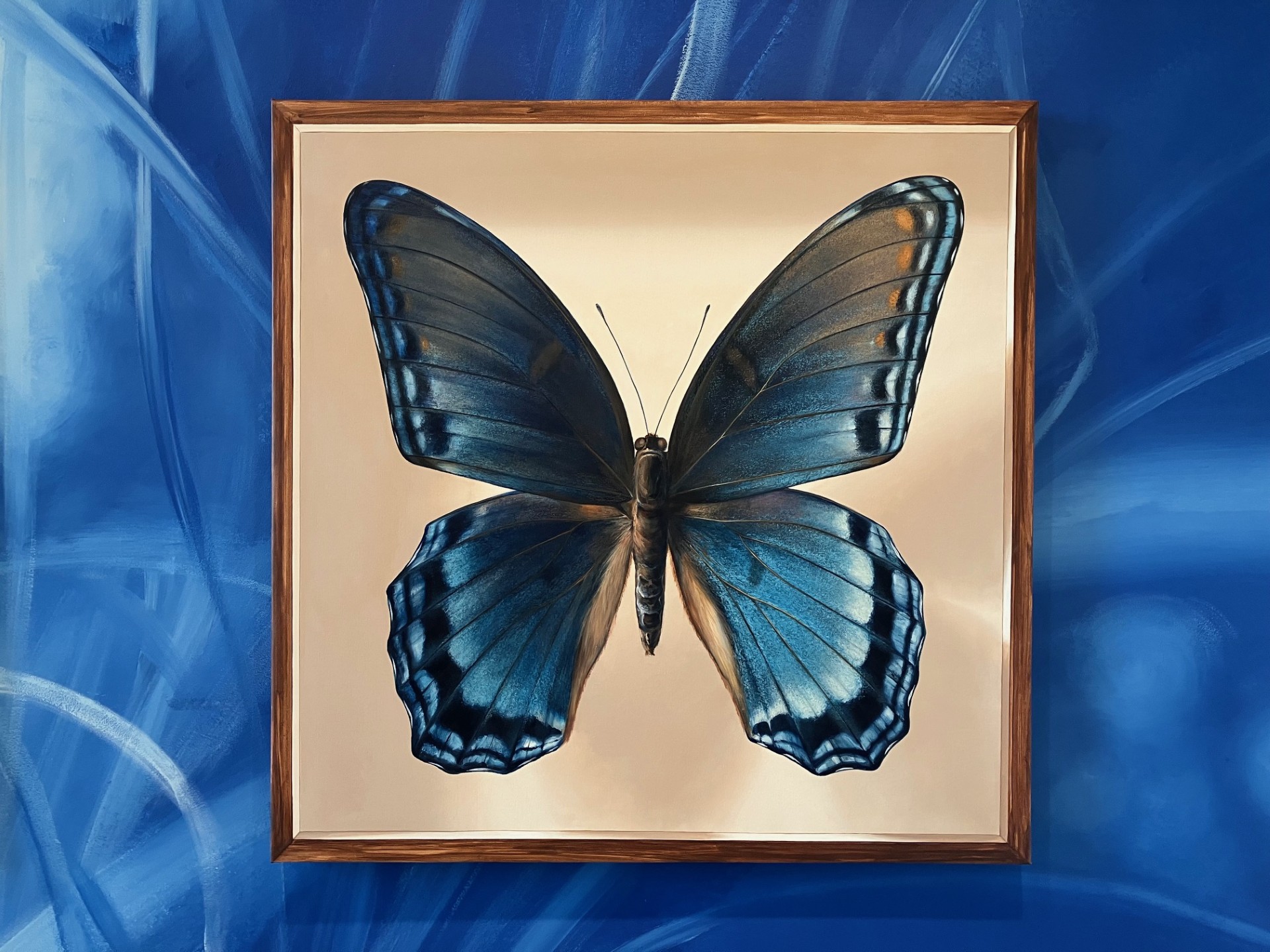 "The Square Collection: Limenitis arthemis", 2024; acrylic on canvas