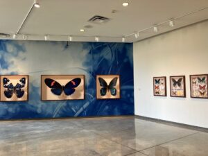 "Mantra: Lifespan" Installation shot