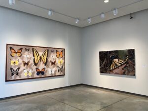 "Mantra: Lifespan" Installation shot