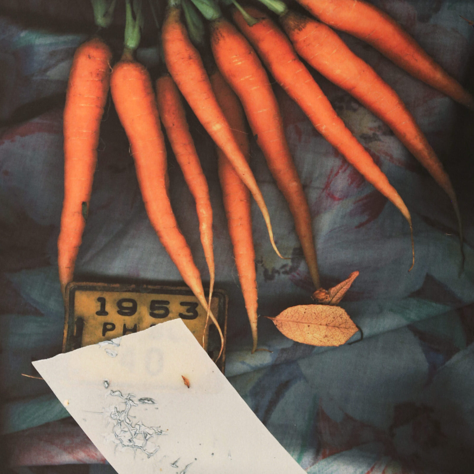 Darryl Curran, "Carrotid Scan", 1995; giclee print; Daum museum permanent collection